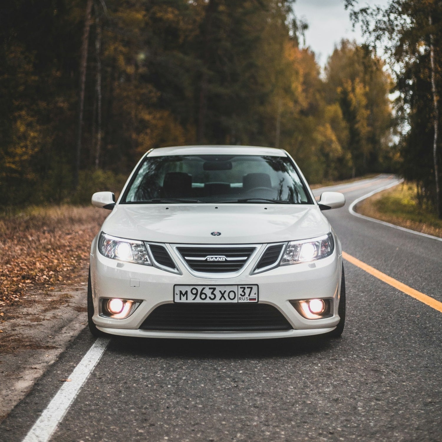 Saab 9-3 Ski Rack/Carrier