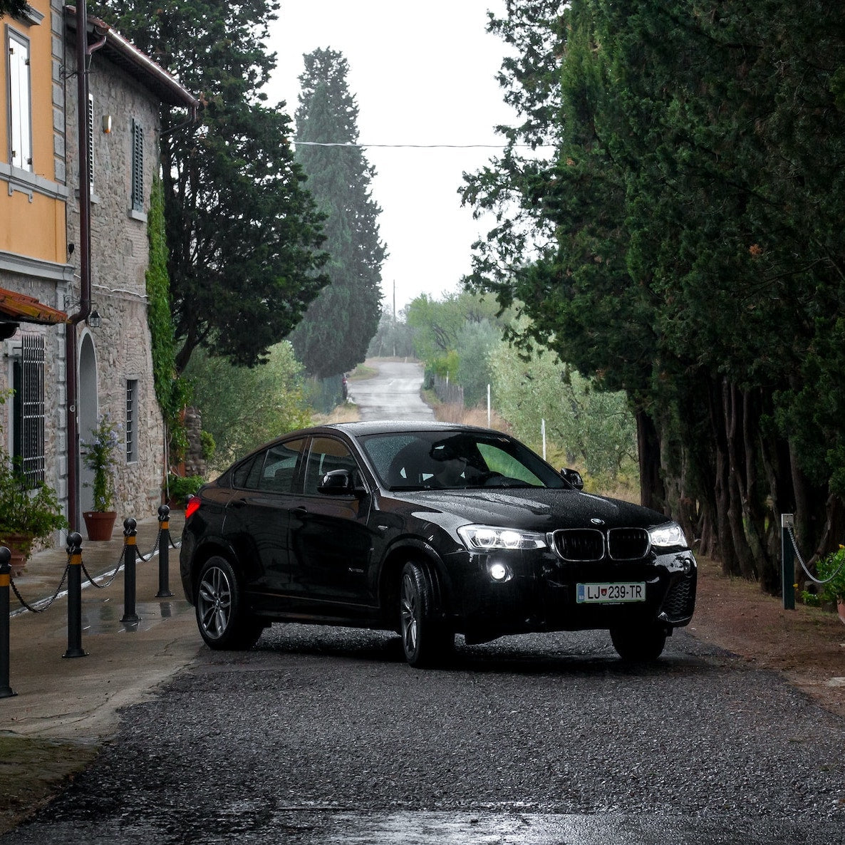 BMW X4 Ski Rack/Carrier