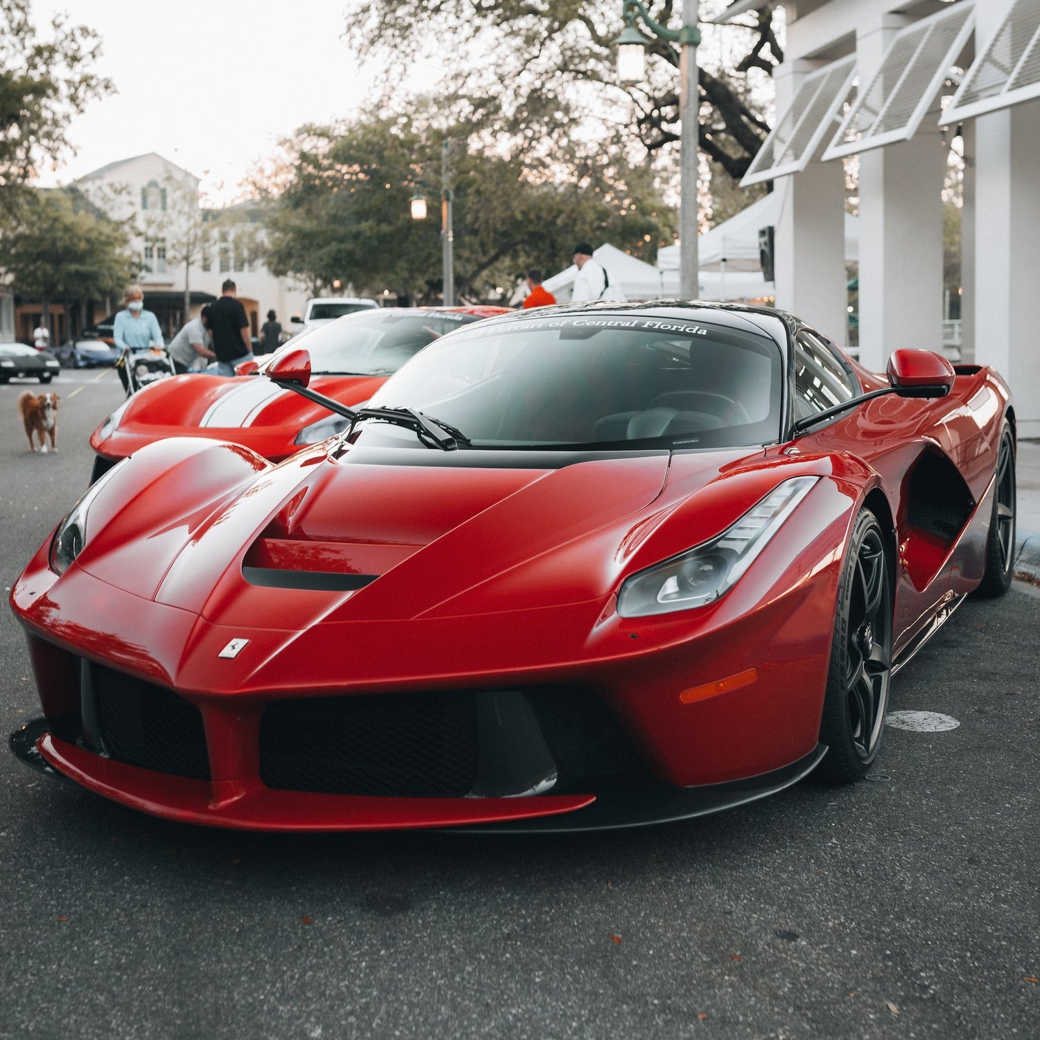 Ferrari La Ferrari Bike Rack/Carrier