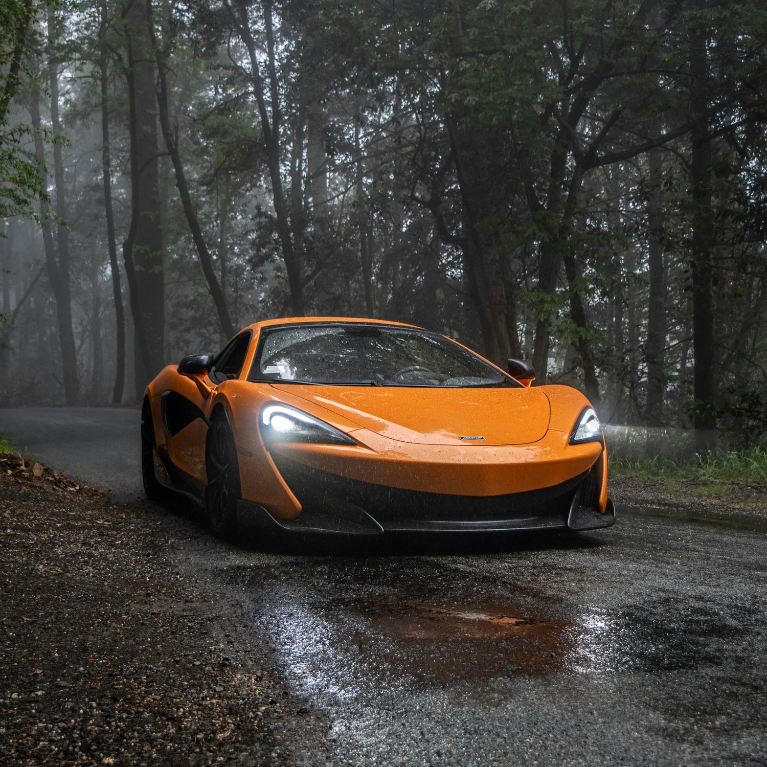 Mclaren 570S Ski Rack/Carrier