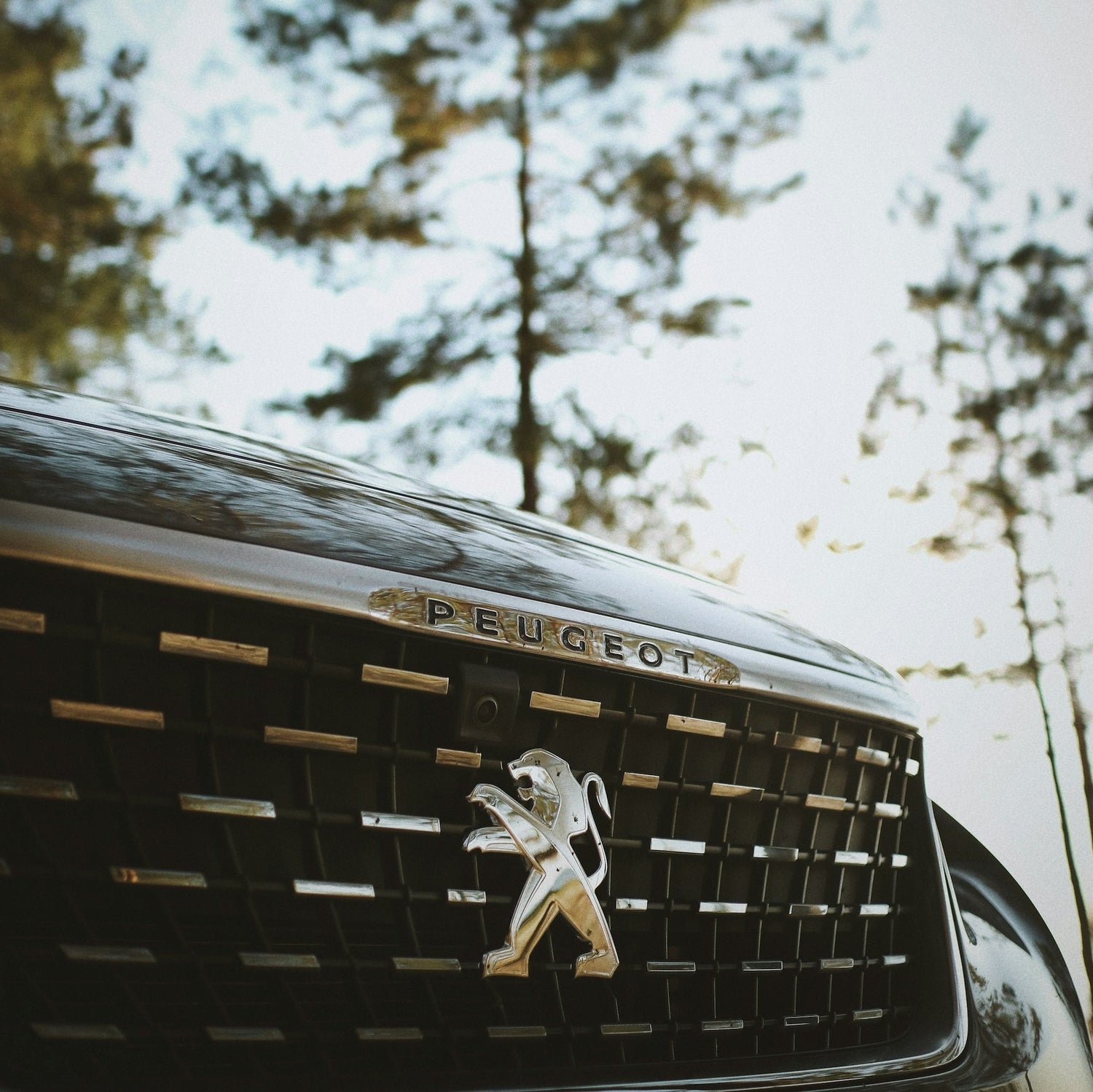Peugeot 5008 Ski Rack/Carrier