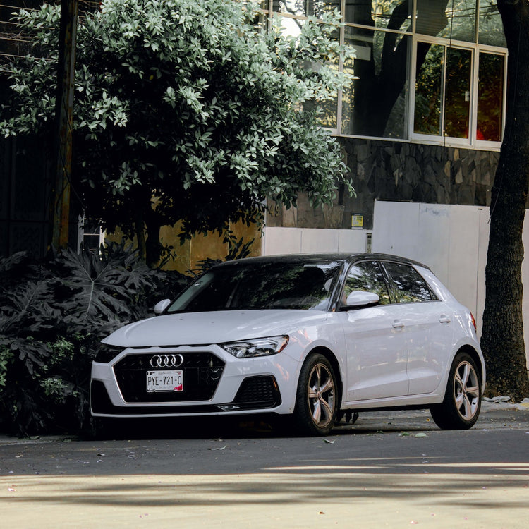 Audi A1 Ski Rack/Carrier