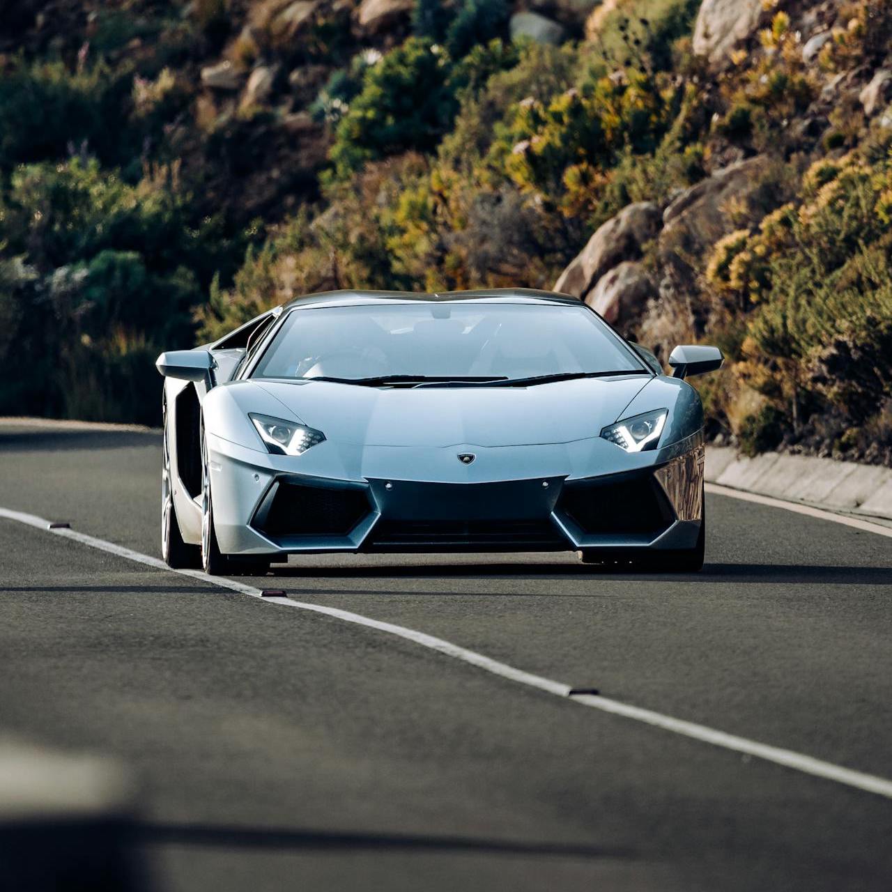 Lamborghini Aventador Ski Rack/Carrier