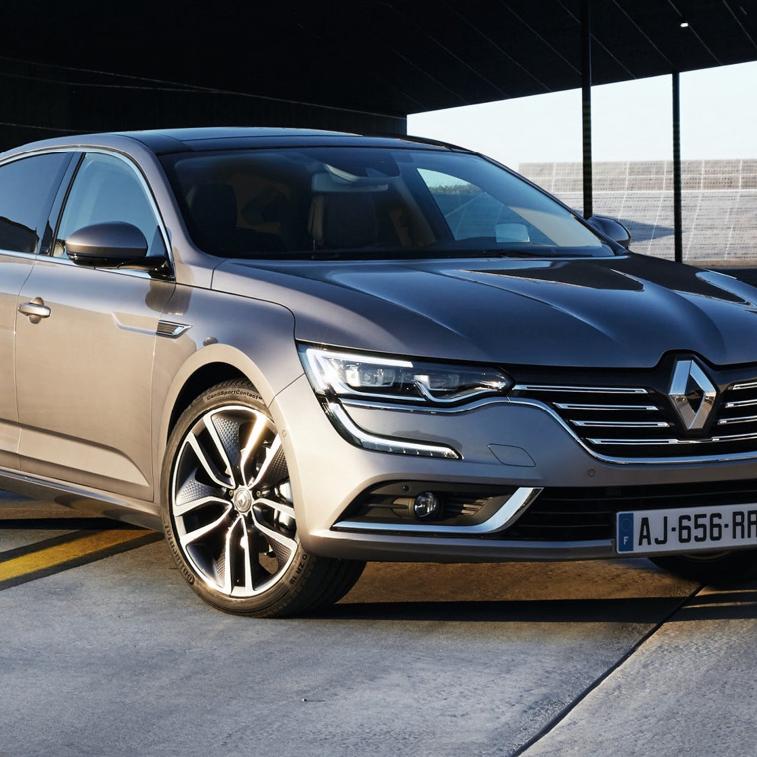 Renault Talisman Ski Rack/Carrier