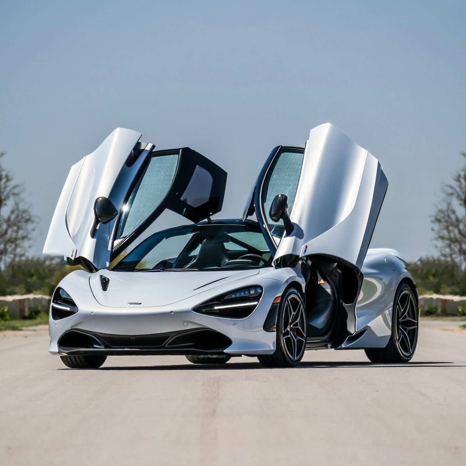 Mclaren 720S Ski Rack/Carrier